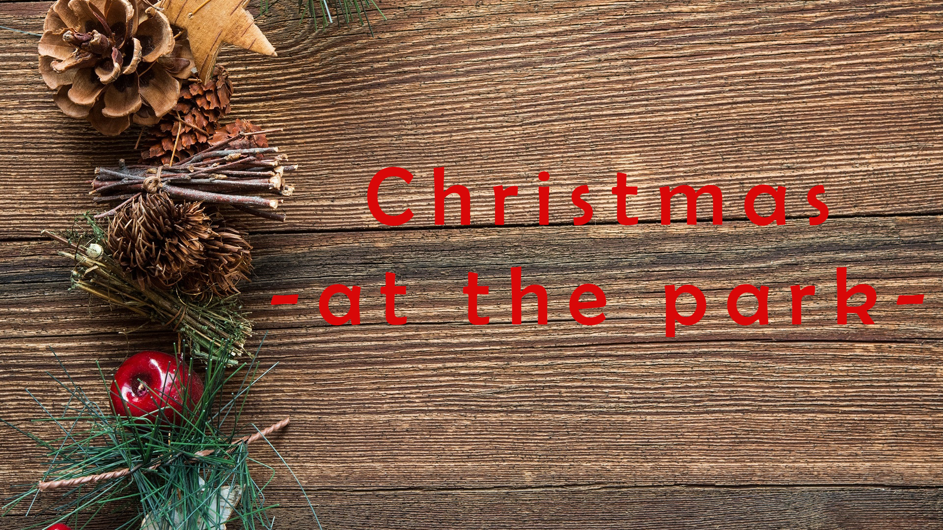 Christmas -at the park-